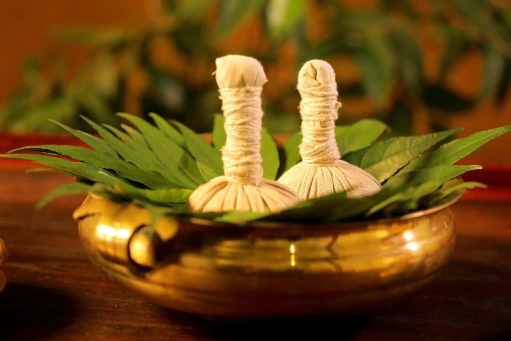 Ayurvedic treatment centre
